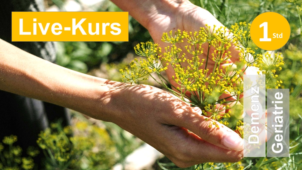 Sie sehen zwei Hände, die sanft eine gelbliche Dolde von Dill umfassen, als Assoziation zum Webseminar zur Selbstfürsorge von Therapeut:innen in der Ergotherapie + Physiotherapie, die in der Rehabilitation von Demenz  in Klinik + Praxis tätig sind.
