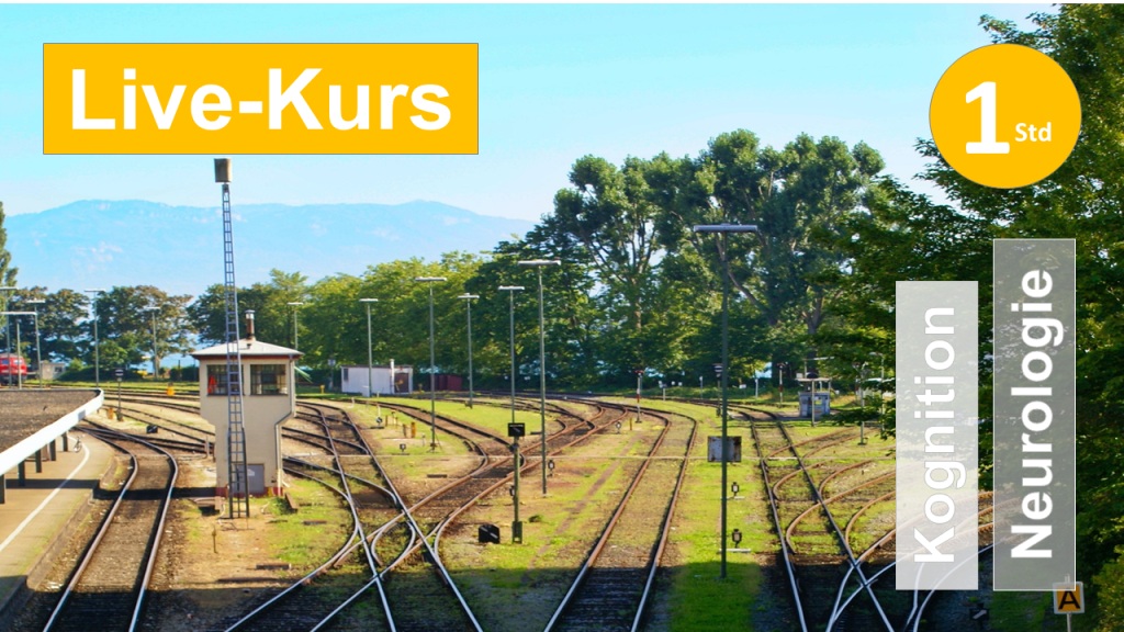 Sie sehen eine Gleisanlage mit vielen Weichen, als Assoziation zum Webseminar zur Umstellfähigkeit und Denkflexibilität für Ergotherapie + Physiotherapie in der Rehabilitation von Schlaganfall + Apoplex + Kognitiven Einschränkungen in Klinik + Praxis