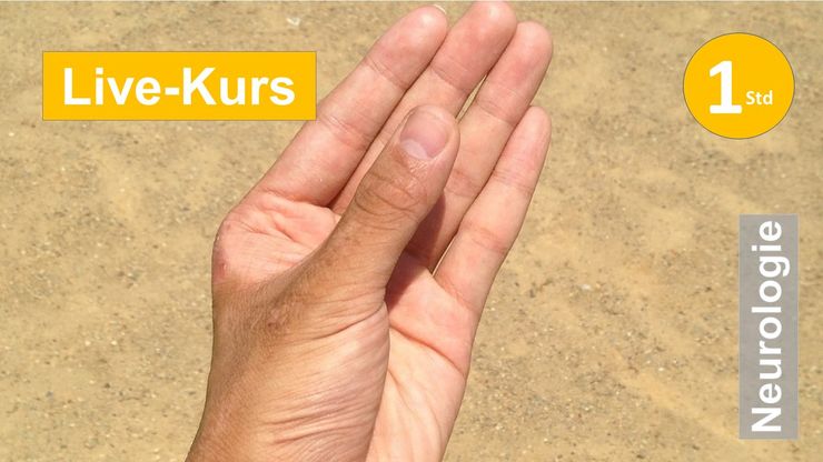 Der lumbrikale Griff -Längs-und Querwölbung der Hand  Neurolog Reha Spastik Extremität Hemiparese plegie Schlaganfall Schmerz Kraftdosierung Training Betätigung Ergo Physio Praxis Klinik Evidenz Funktion Therapie Kognition Hand Arm Scapula Bobath PNF Panat