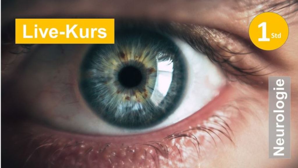 Sakkadentraining - Ataxie und Tremor in der oberen Extremität nach Schlaganfall  Neurolog Reha Spastik Extremität Hemiparese plegie Schlaganfall Schmerz Kraftdosierung Training Betätigung Ergo Physio Praxis Klinik Evidenz Funktion Therapie Kognition Hand Arm Scapula Bobath PNF Panat