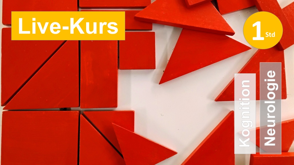 Sie sehen mehrere Teile des Therapiematerials Rotes Mosaik von Verena Schweizer als Symbol zum Webseminar für Ergotherapie + Physiotherapie in der Reha bei kognitiven Einschränkungen bei Schlaganfall + ähnlichen Erkrankungen in Klinik + Praxis