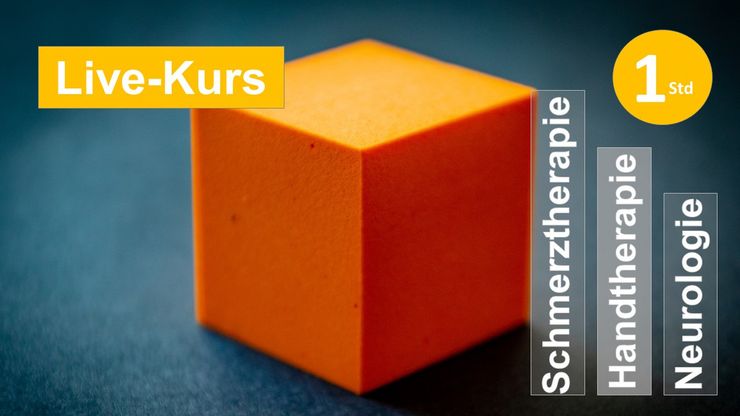 Blocktherapie: Was ist das und wie lässt es sich in der Praxis umsetzen? Schmerz Reha Tonus Extremität Kraftdosierung Training Betätigung Ergo Physio Praxis Klinik Evidenz Funktion Therapie Kognition Pacing Mentales Training CRPS Reflexdystrophie Fibromalgie Pacing Coping Graded Motor Imagery Spiegeltherapie