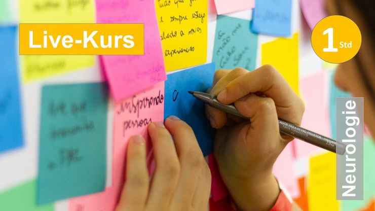 Sie sehen Hände, die senkrecht an einer Pinnwand mit bunten kleinen Notizzetteln einen Zettel beschreibt, als Assoziation zum Webseminar für Ergotherapie + Physiotherapie in der Rehabilitation von Schlaganfall + Apoplex in Klinik + Praxis