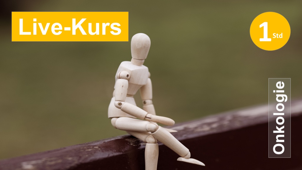 Sie sehen eine Gliederpuppe auf einer Parkbanklehne sitzen, als Symbol zum Webinar über Basiswissen zur Ergotherapie in der Onkologie in Klinik + Praxis