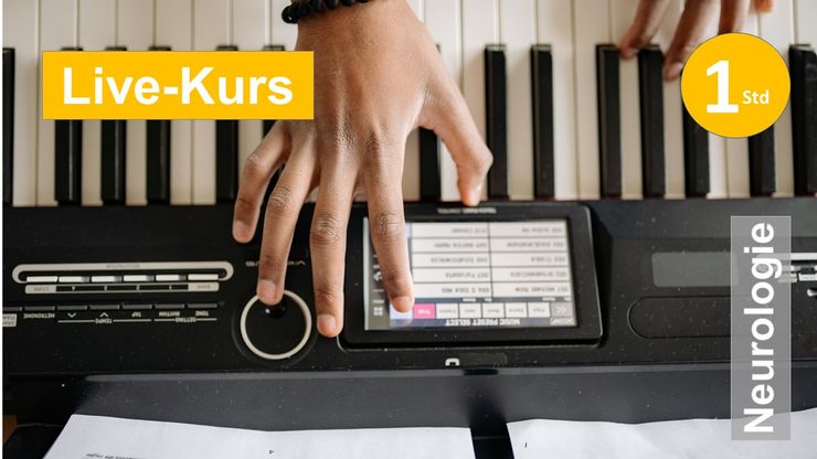 Hochrepetitive Trainings für die Handmotorik – vom Task zur Übung und zurück  Neurolog Reha Spastik Extremität Hemiparese plegie Schlaganfall Schmerz Kraftdosierung Training Betätigung Ergo Physio Praxis Klinik Evidenz Funktion Therapie Kognition Hand Arm Scapula Bobath PNF Panat
