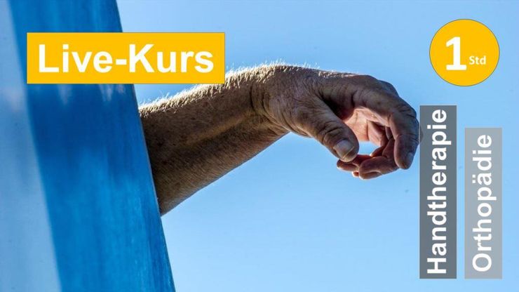 Sie sehen eine Hand mit Unterarm, die über eine Banklehne hänget, als Assoziation zum Webseminar für Ergotherapie + Physiotherapie in der Rehabilitation von peripheren Nervenläsionen + Handreha in Klinik + Praxis