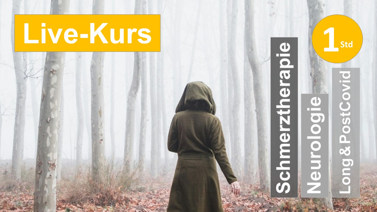 Sie sehen in einem nebeligen Wald eine Frau von hinten  als Assoziation zum Webseminar für Ergotherapie + Physiotherapie in der Rehabilitation von Long + Post Covid + Schmerzreha + NeuroReha + Fatigue in Klinik + Praxis