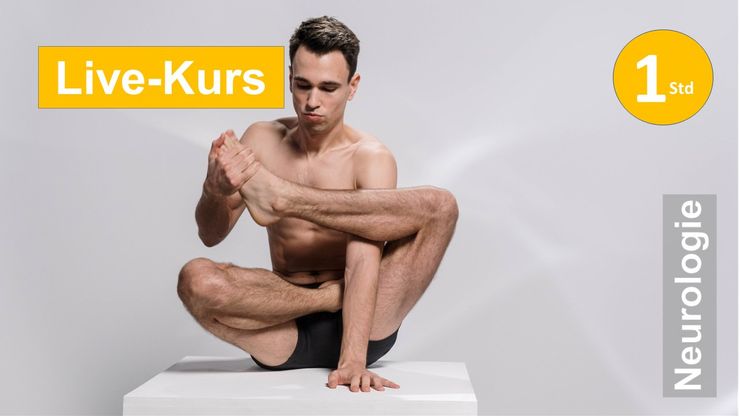 Sie sehen auf einem weißen Sockel einen Mann in einer sitzenden komplexen Yoga Figur auf eine Hand gestützt als Assoziation zum Webseminar für Ergotherapie + Physiotherapie in der Rehabilitation von Schlaganfall + Apoplex in Klinik + Praxis